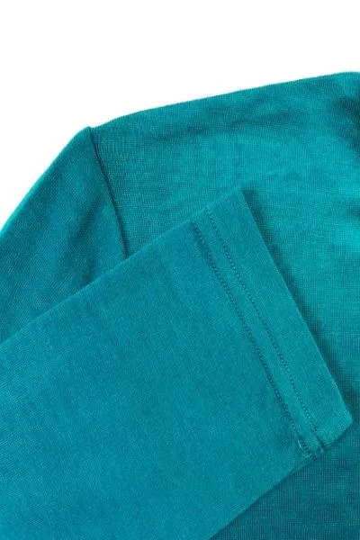 WOMEN'S 100% MERINO WOOL (210) A-LINE SCOOP LONG SLEEVE TOP DRAGONFLY